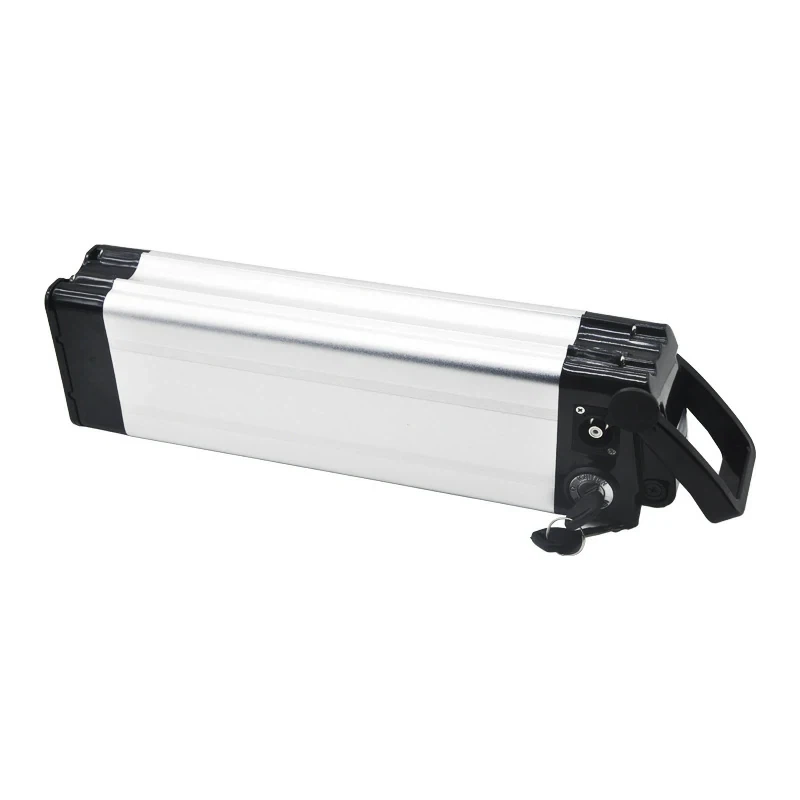 48v 8h Ebike akumulators